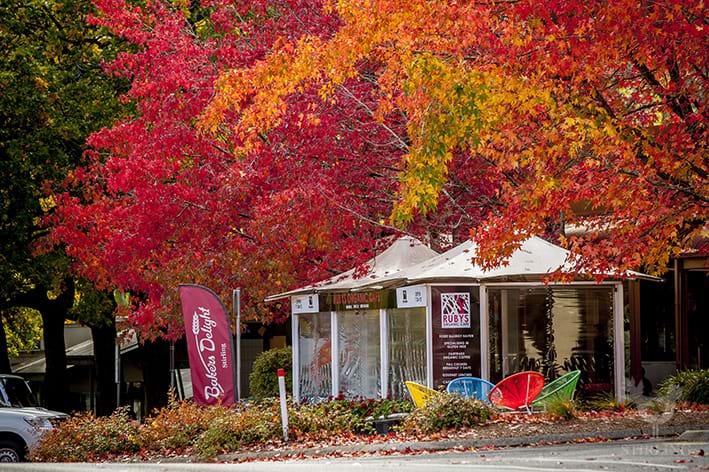 Autumn Stirling South Australia